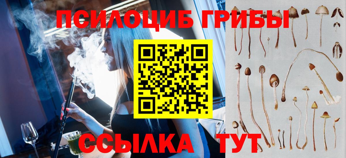 Галлюциногенные грибы Magic Shrooms  Вход с VPN  Галлюциногенные грибы ЛСД  Хасавюрт 